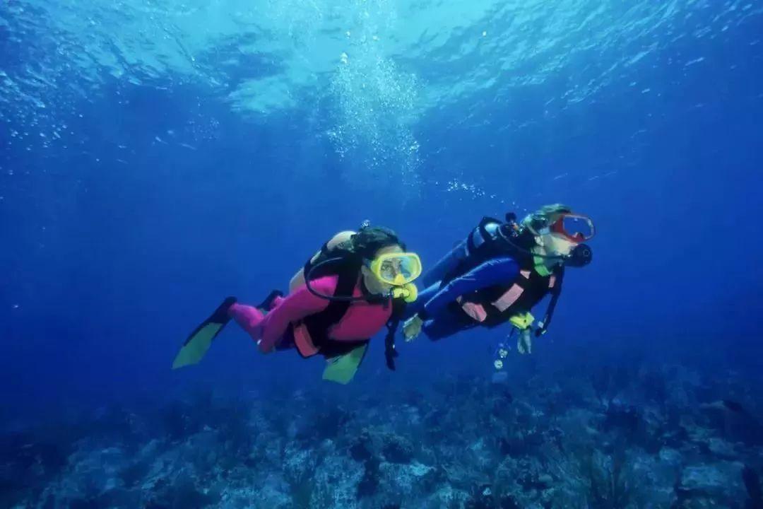 神秘的大海