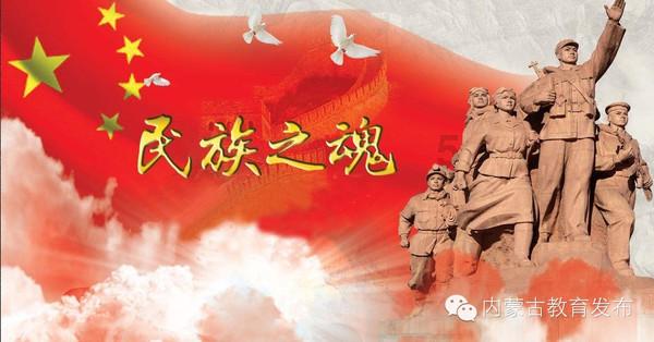 可怜猫的救援