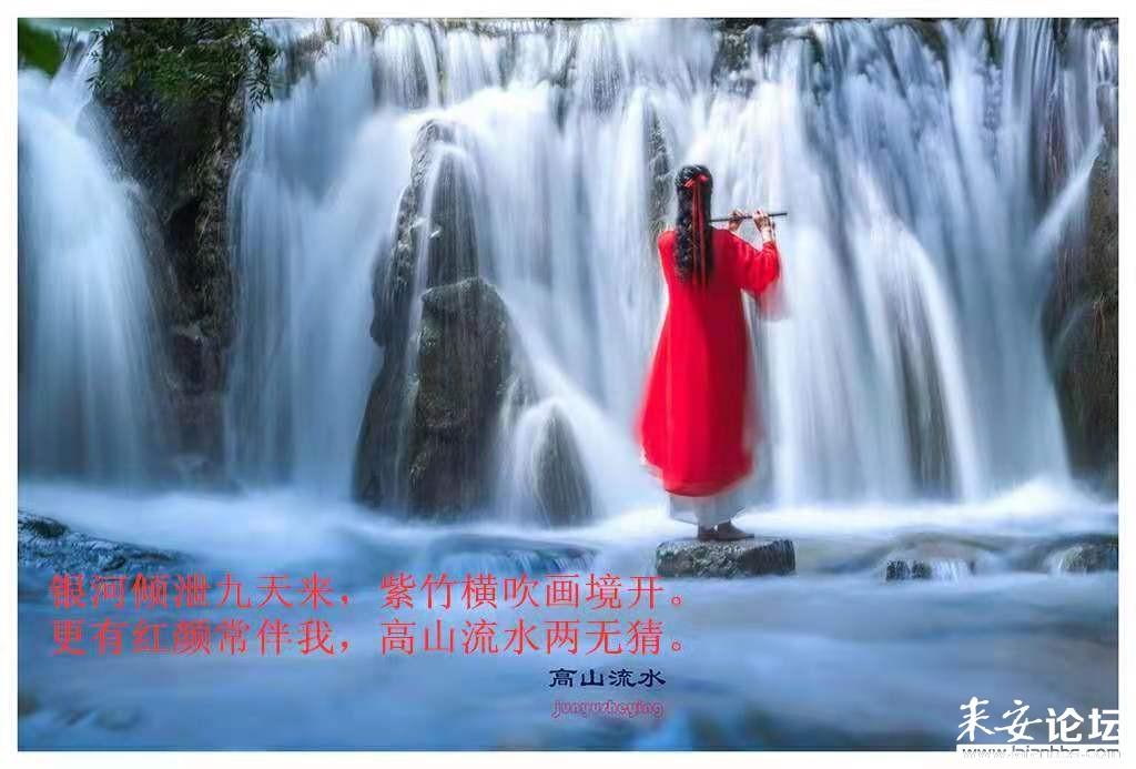 飞扬的方块鸟