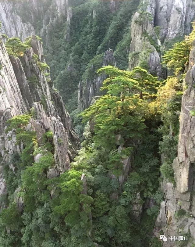 天津市交通运输部门全力护航春运